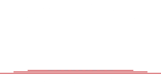 Trial Lawyer Association